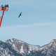 Fly Nova, fly! (Photo: Dennis Schroeder/National Renewable Energy Lab)